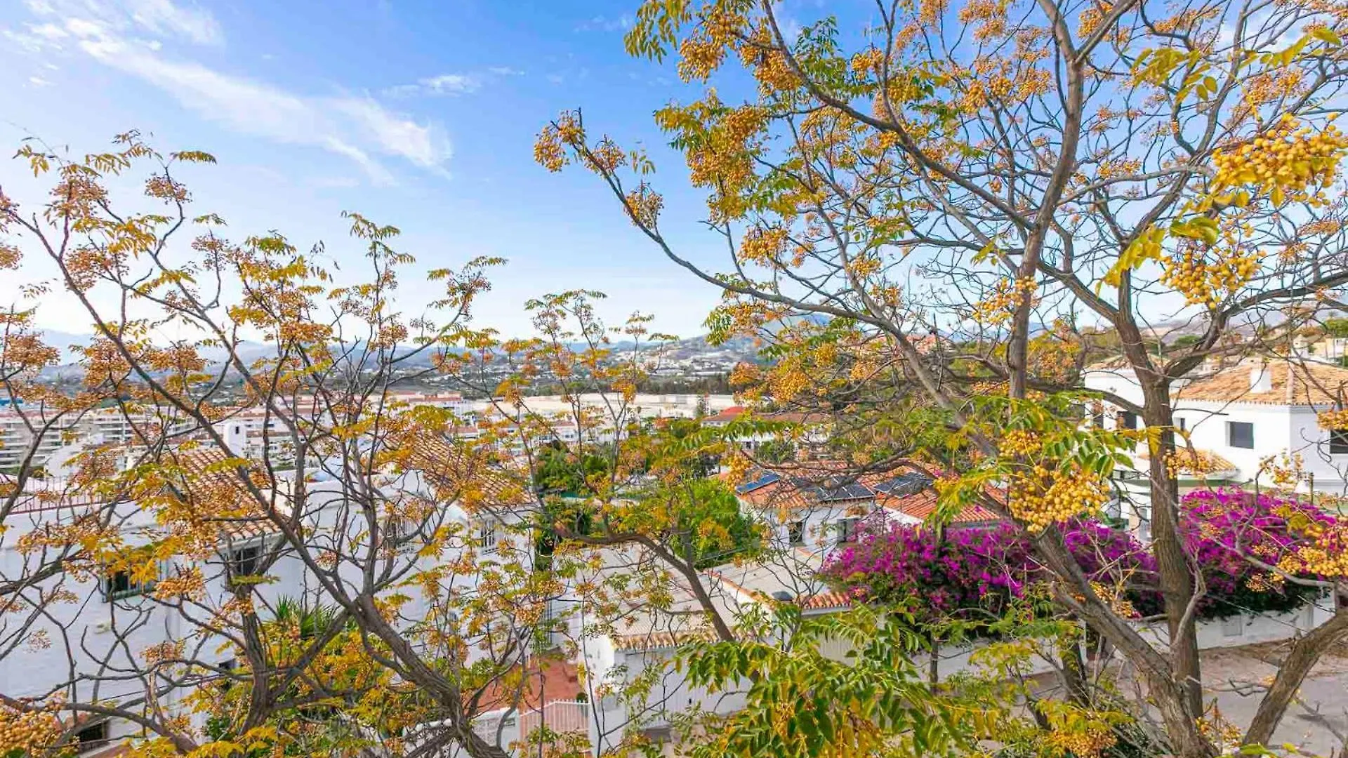 アパート Plaza Pedro - Apartamento En Nueva Andalucia マルベーリャ スペイン
